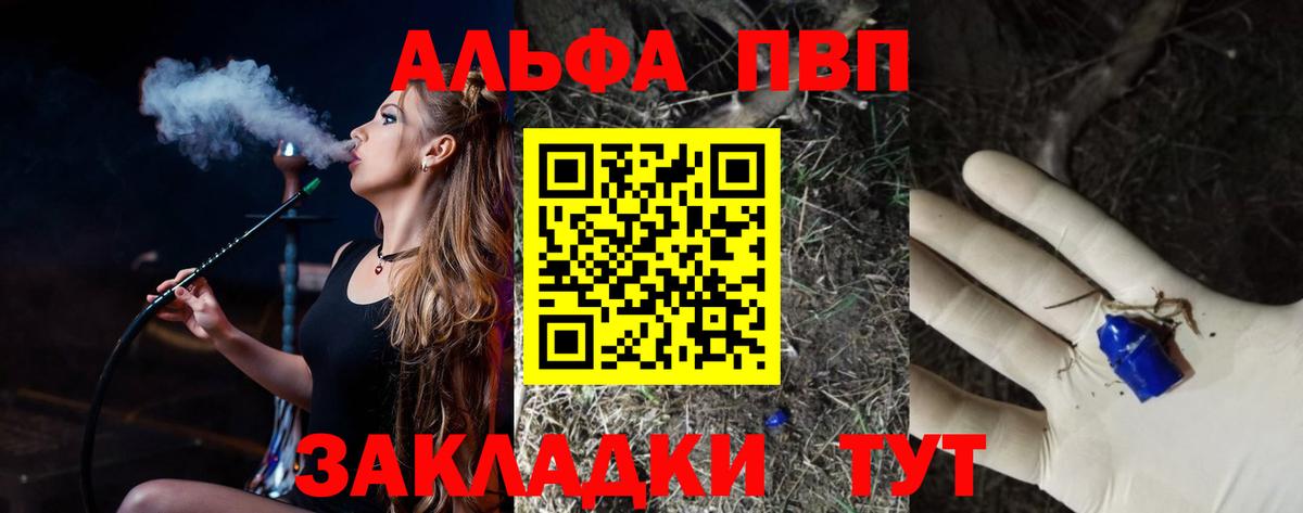 APVP СК КРИС Малгобек