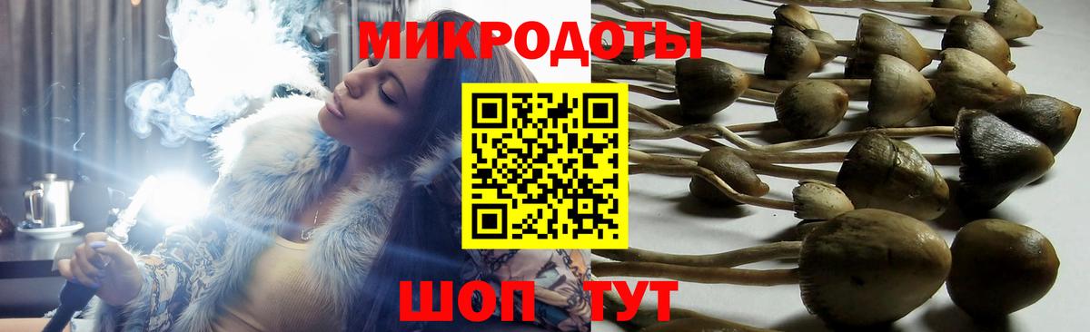 Галлюциногенные грибы мицелий  Вход с VPN  Малгобек 